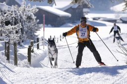 Lenk 2013